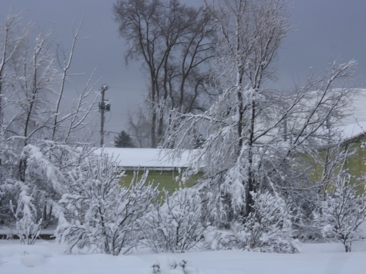 Fictional Story Reblog: It Began With A&nbsp;Dream