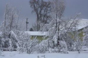 It Began With A Dream IV