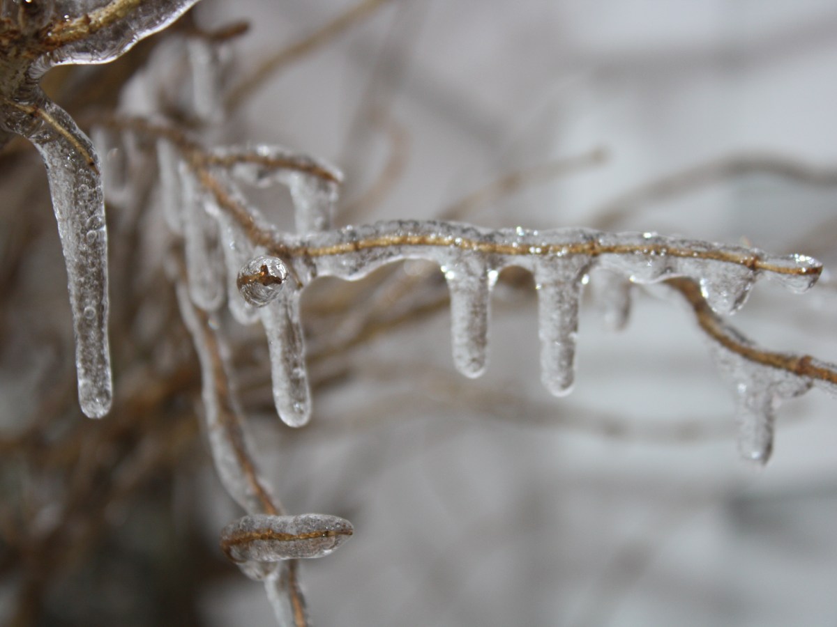 10 Words Describing&nbsp;Ice