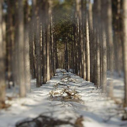 January Social Media&nbsp;Challenge