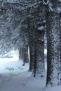 Happy New Year