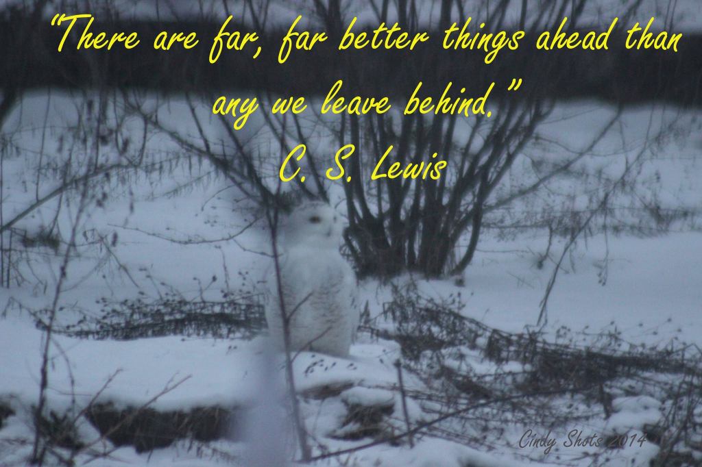 30 Quote Social Media Prompt&nbsp;Challenge