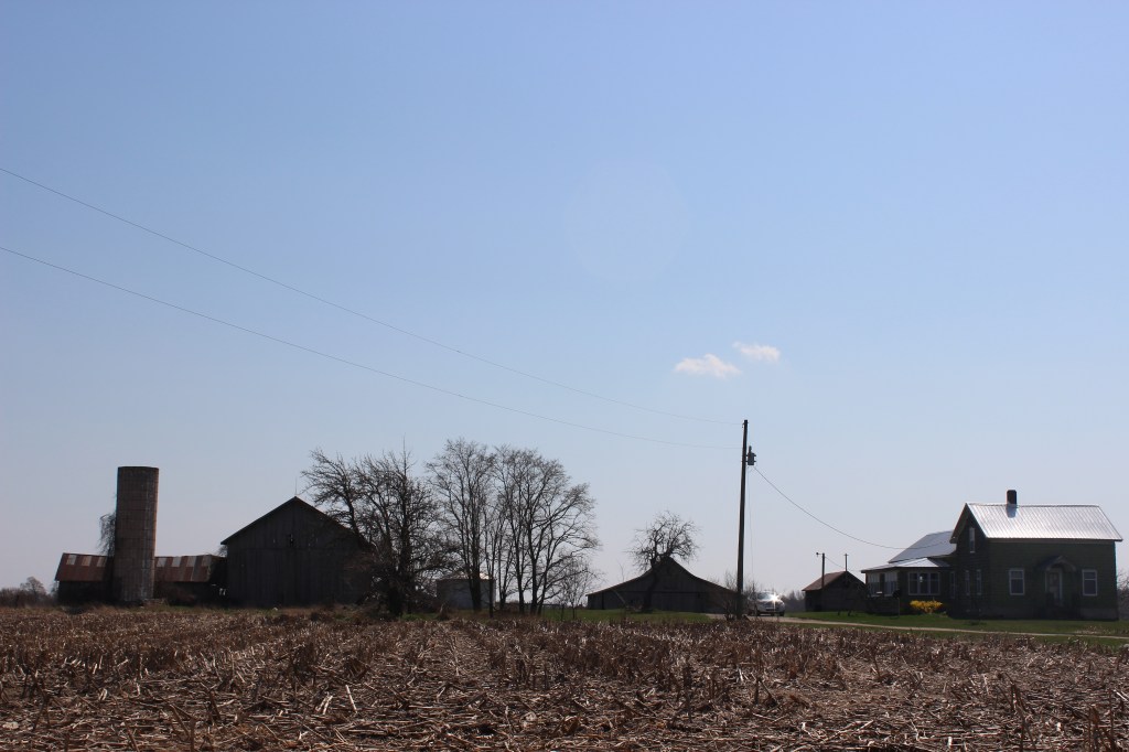 Farm Boys Farm Girls 8 minute Free&nbsp;Write