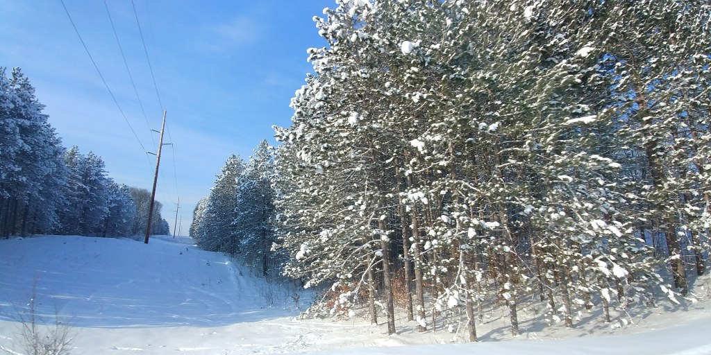 It Began With a Dream&nbsp;VII