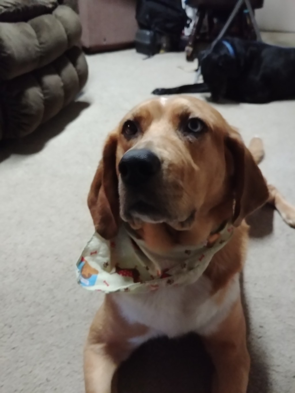 365 Prompts- Day&nbsp;6