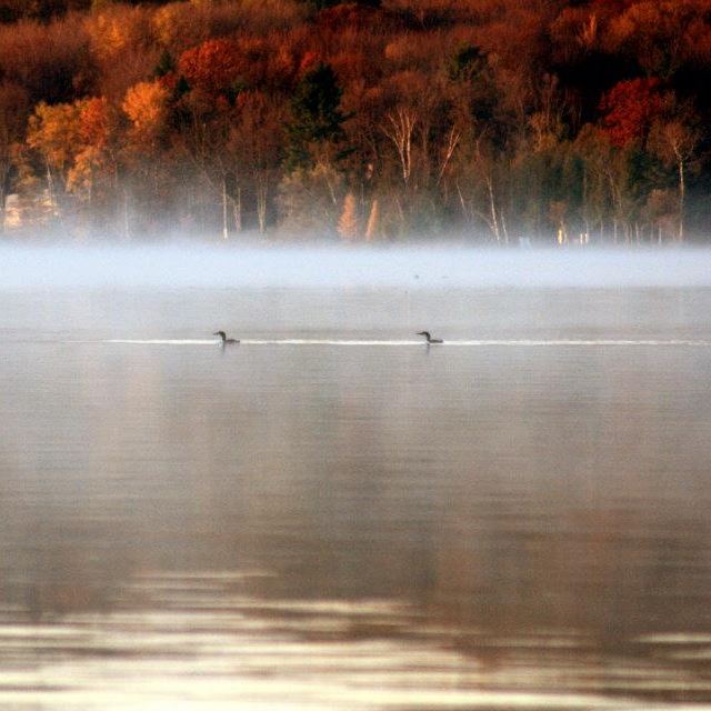 Foggy Fall Morning Photo&nbsp;Prompt