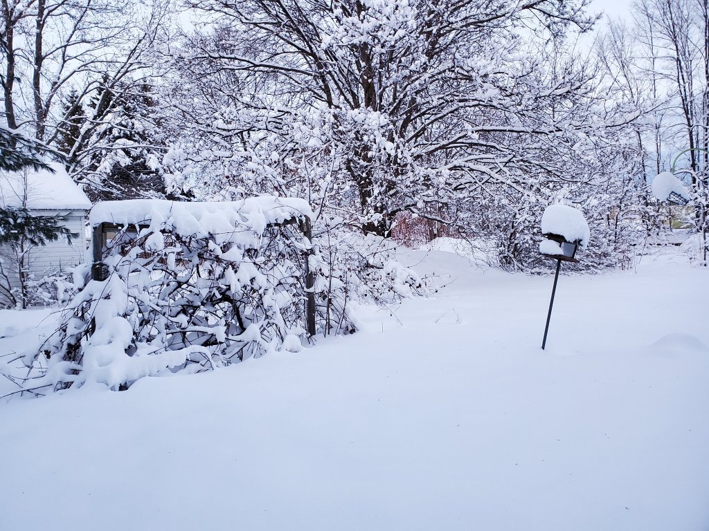 January 2020 Writing&nbsp;Prompts