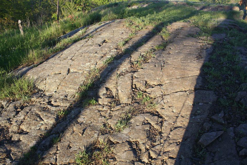 At The Top of the&nbsp;World