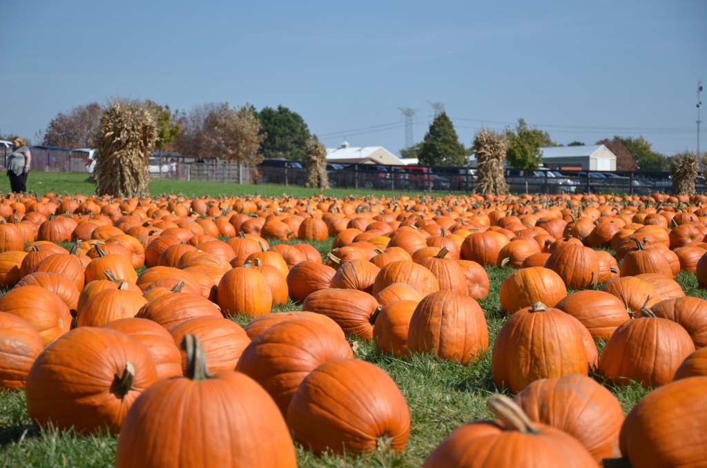 October Writing Prompts Day 3- Perfect&nbsp;Pumpkin