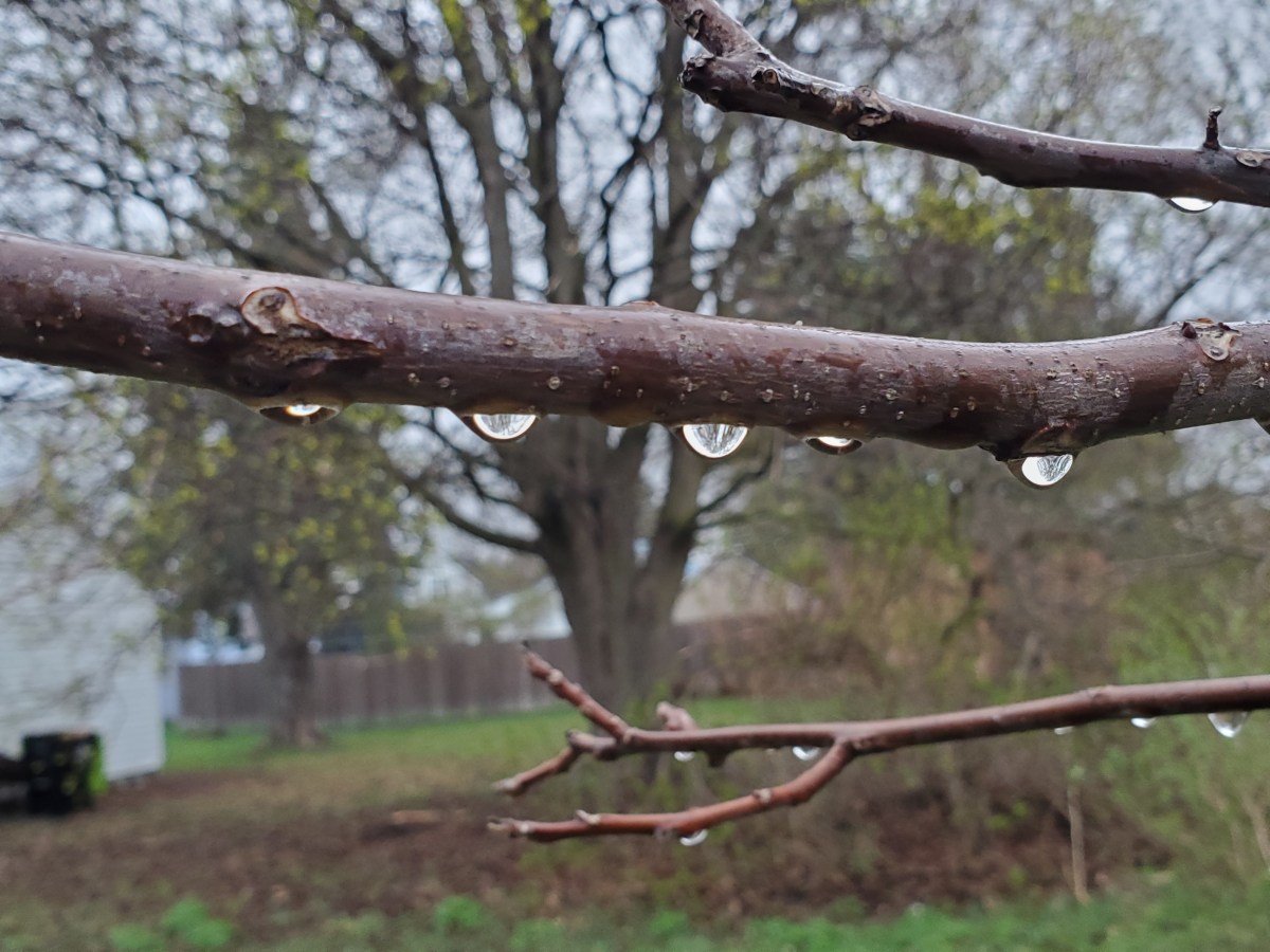 Rain of Rebuilding&nbsp;Hope