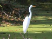 A Trip To&nbsp;Remember