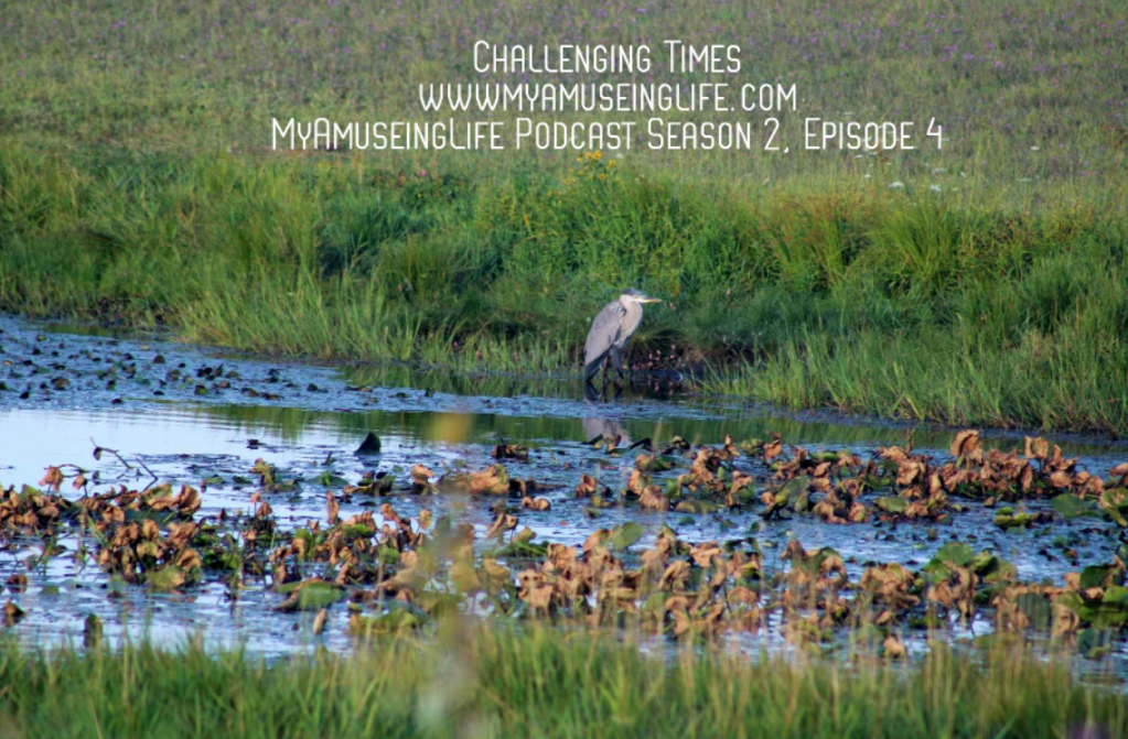 Challenging Times w/Podcast&nbsp;Version