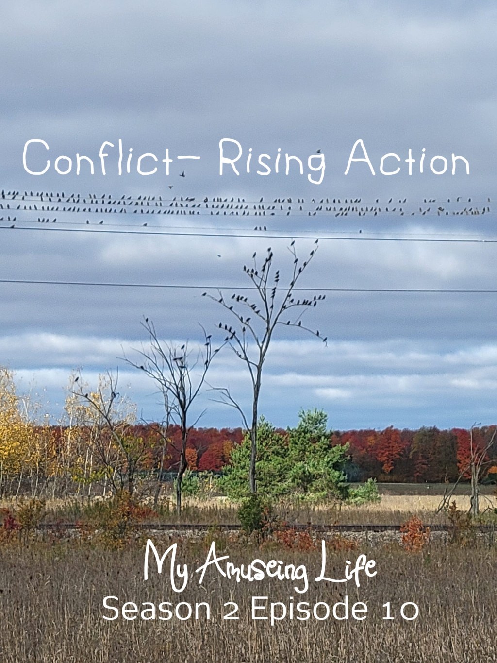 Conflict- Rising Action Podcast&nbsp;Episode