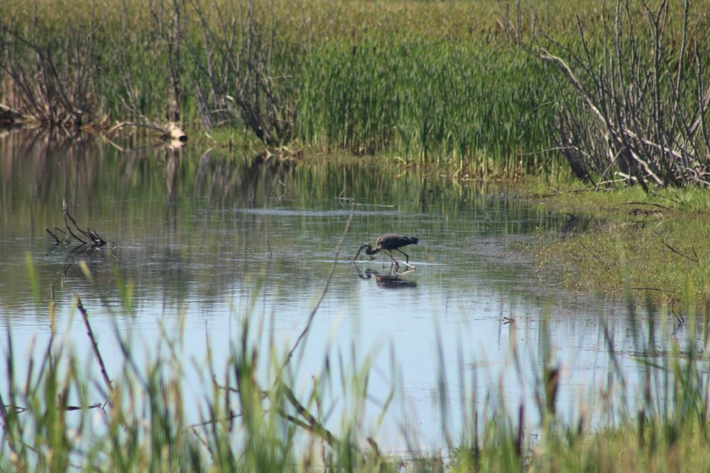 Fishing on the&nbsp;River